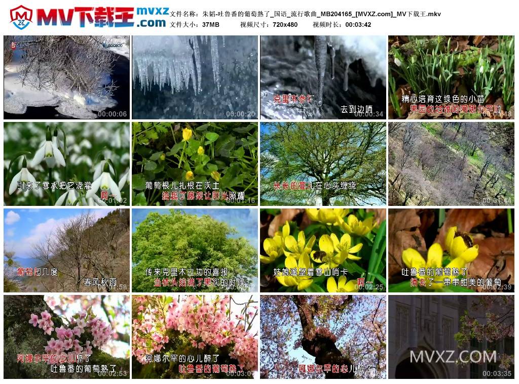 朱韬-吐鲁番的葡萄熟了_国语_流行歌曲_MB204165